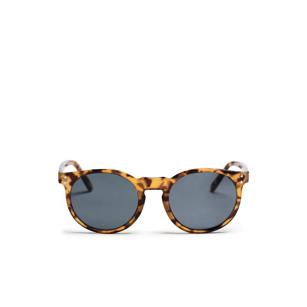 Oculos CHPO Côte de Basques