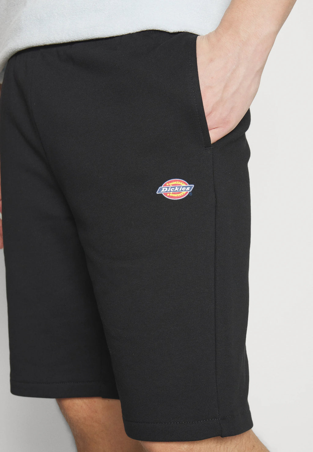 Calções Dickies Mapleton