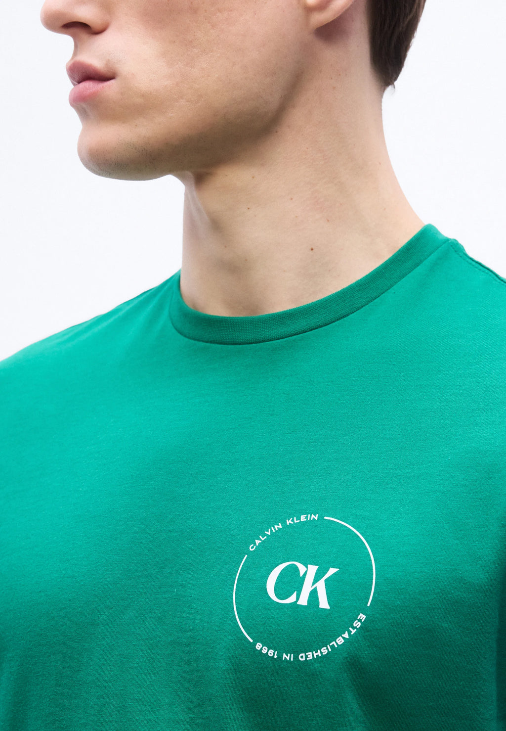 T-Shirt Calvin Klein Graphics