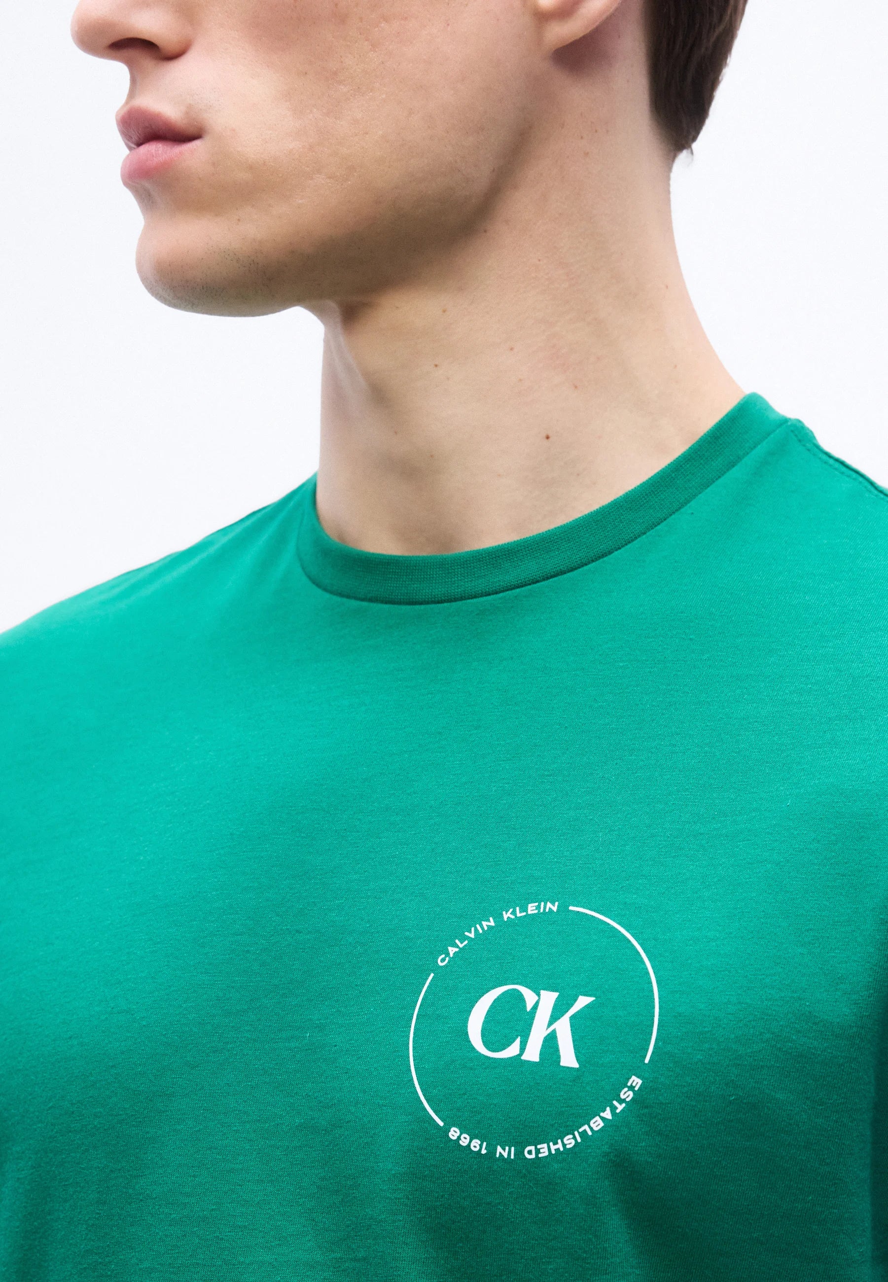 T-Shirt Calvin Klein Graphics