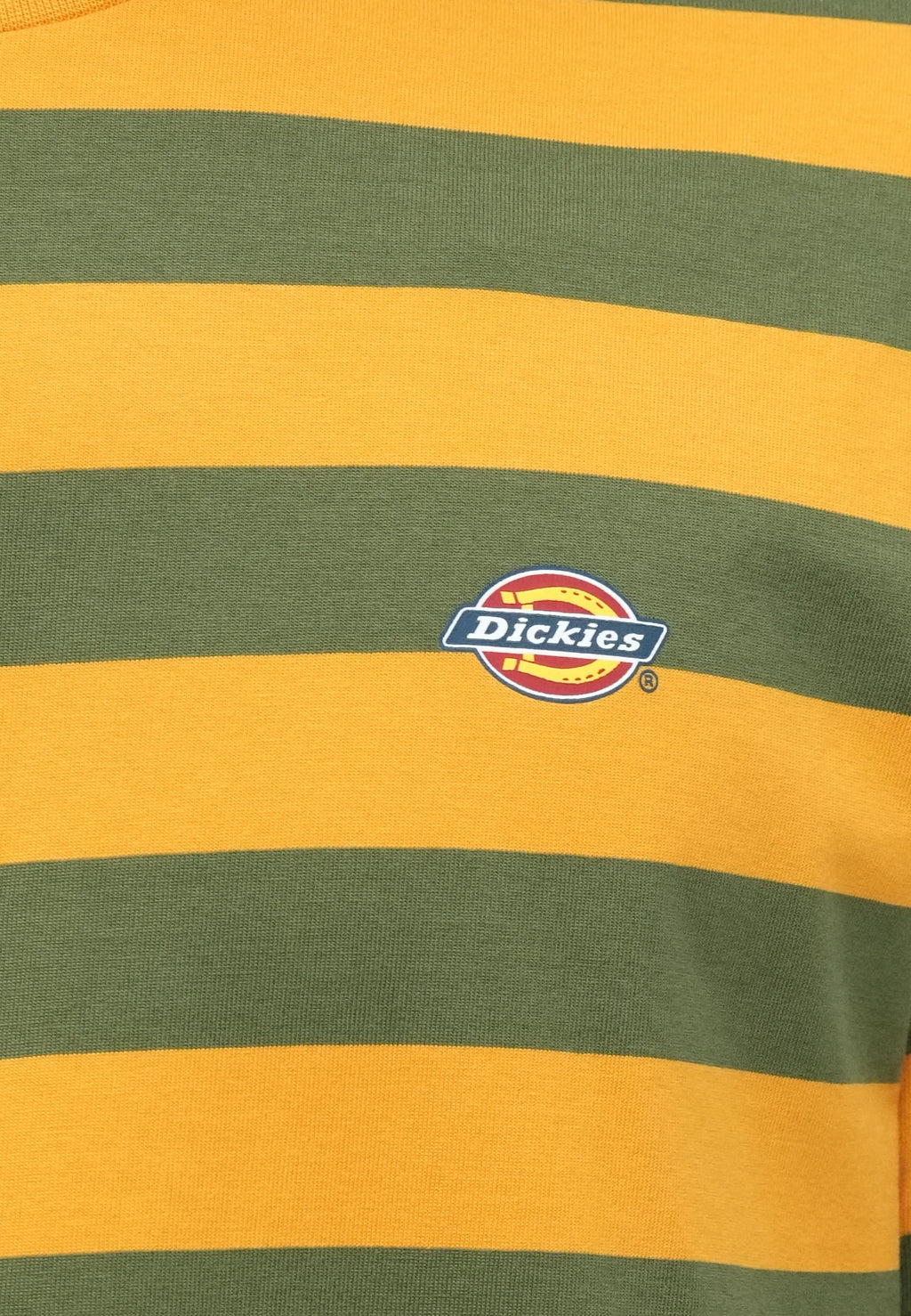 T-Shirt Dickies RIVERGROVE