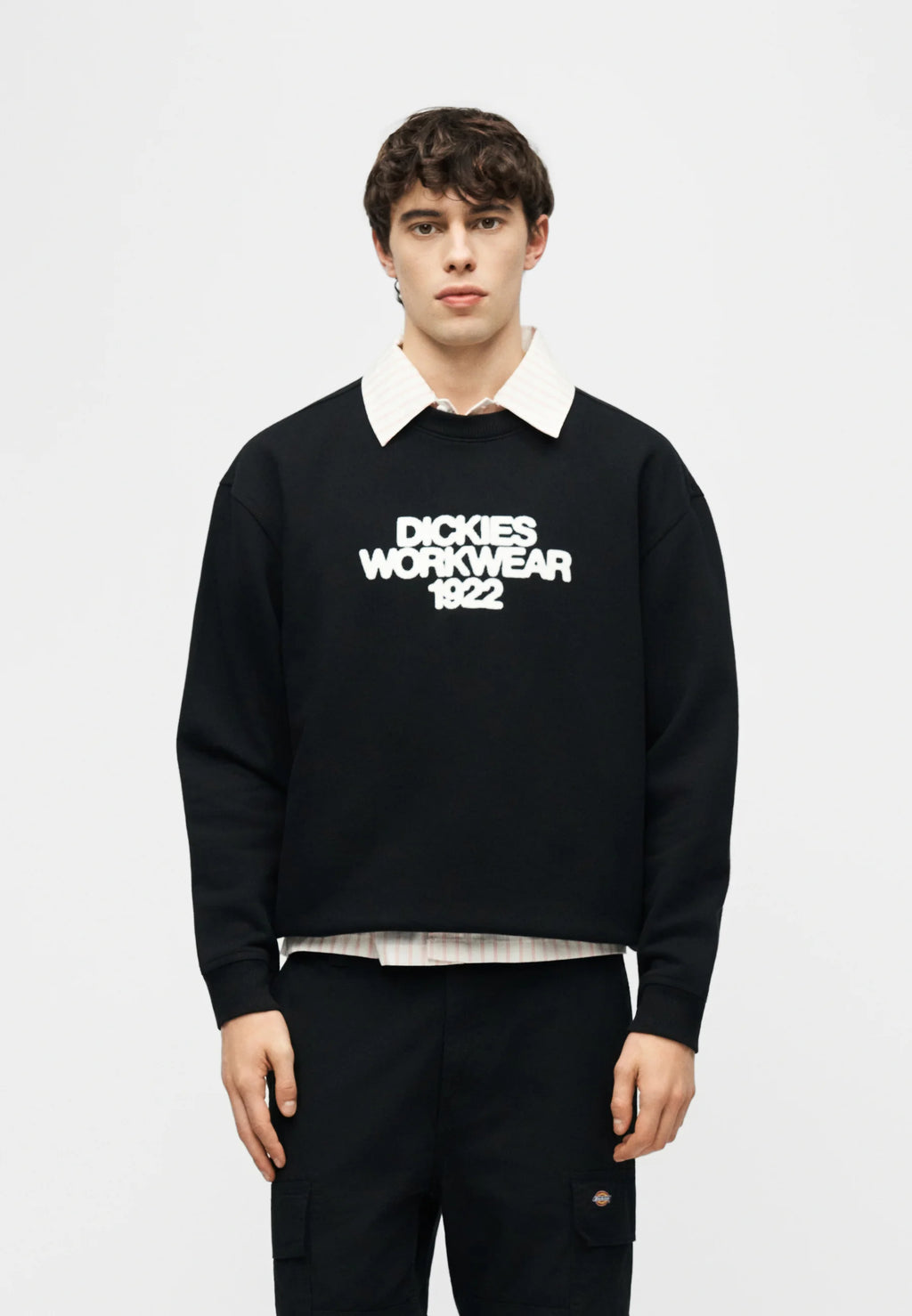 Camisola Dickies Crew Torrey