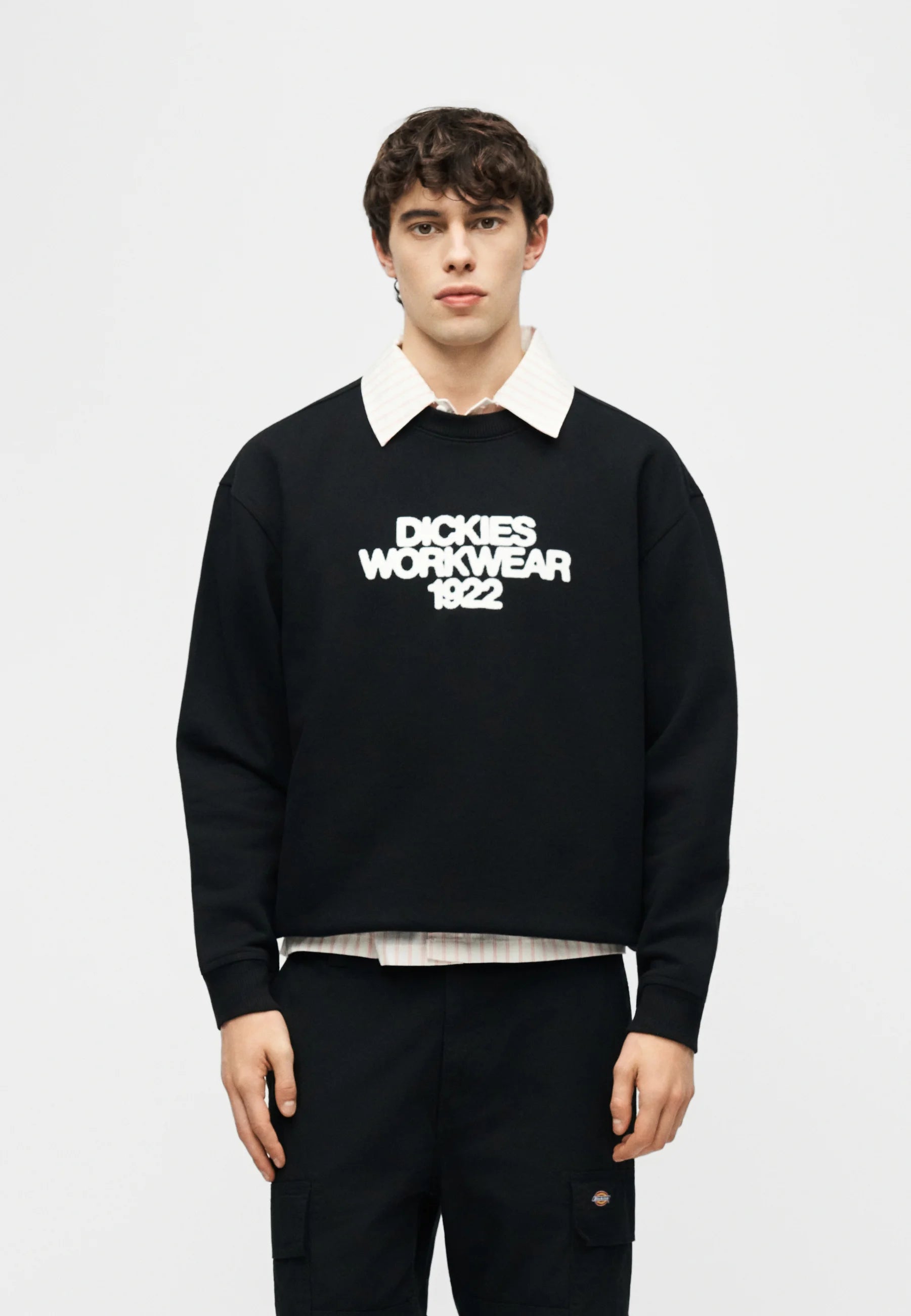Camisola Dickies Crew Torrey