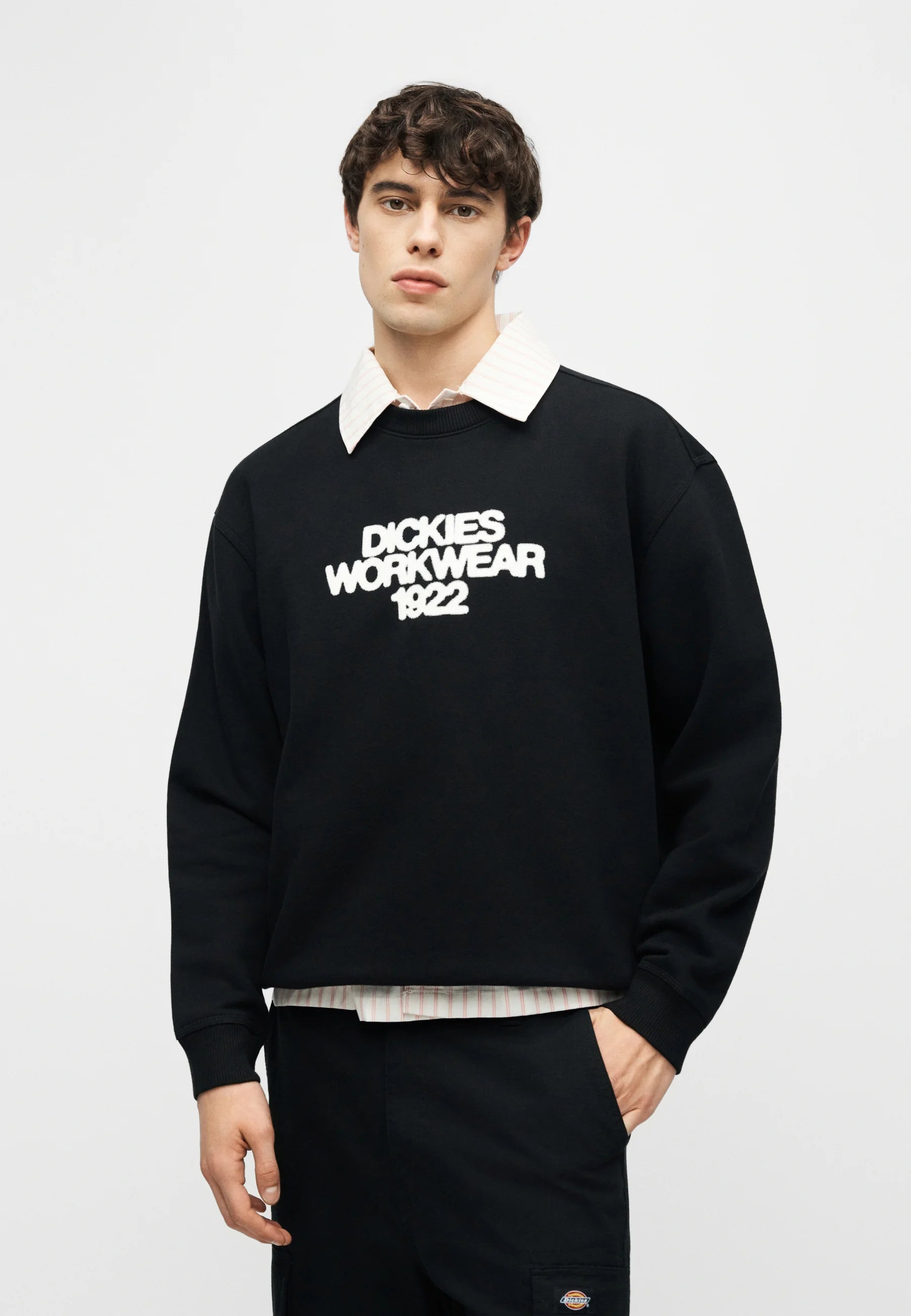 Camisola Dickies Crew Torrey