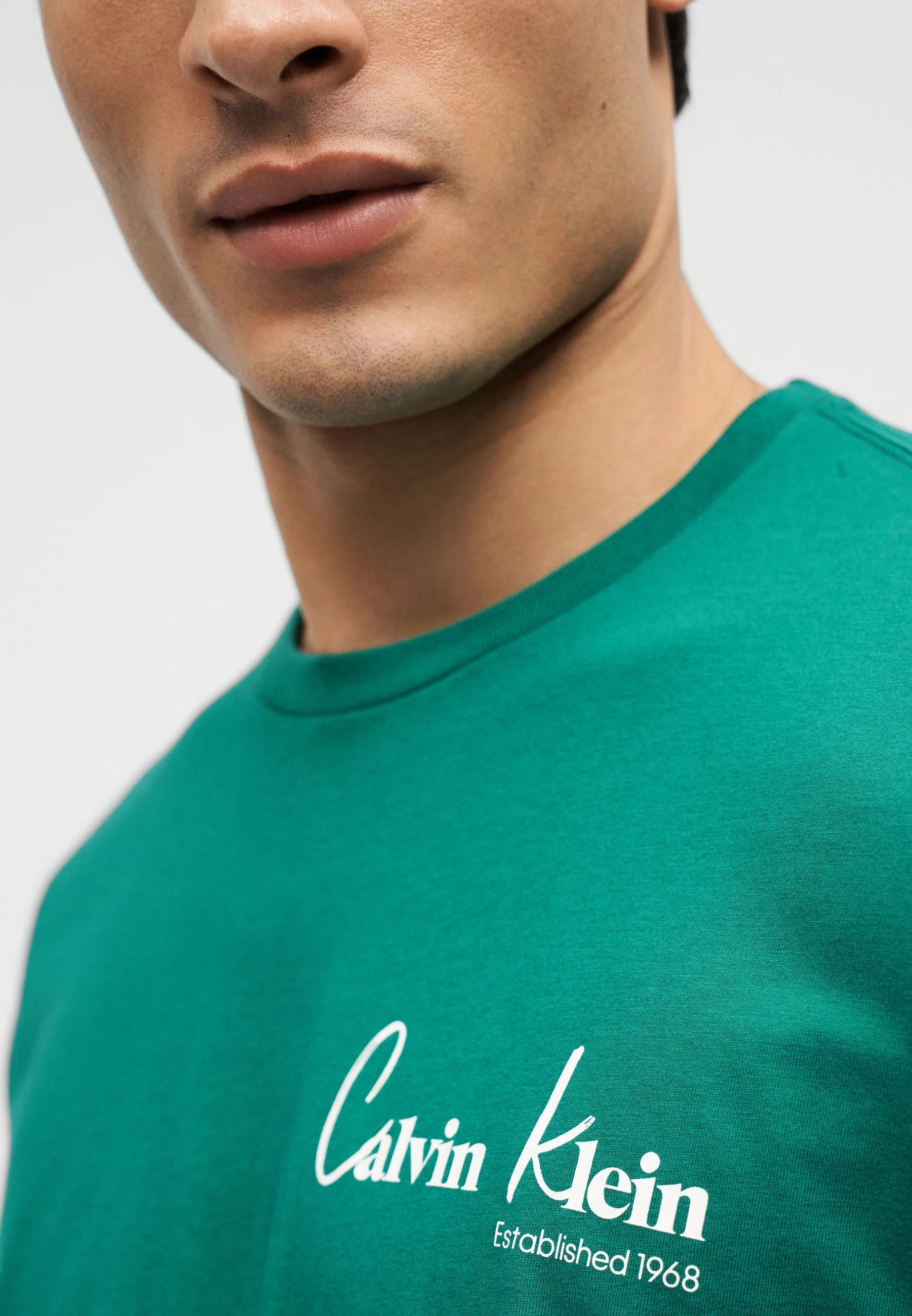 T-Shirt Calvin Klein Graphics