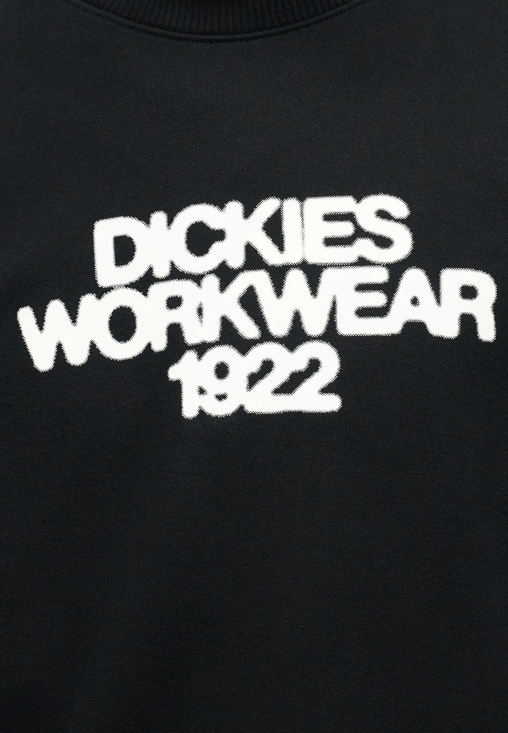 Camisola Dickies Crew Torrey