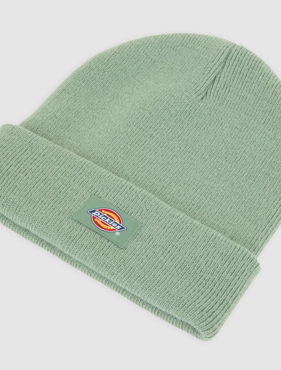 Gorro Dickies Gibsland