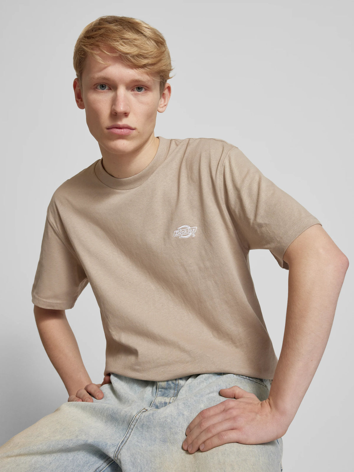 T-Shirt Dickies Summerdale