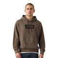 Camisola Levis Premium Graphic Hoodie