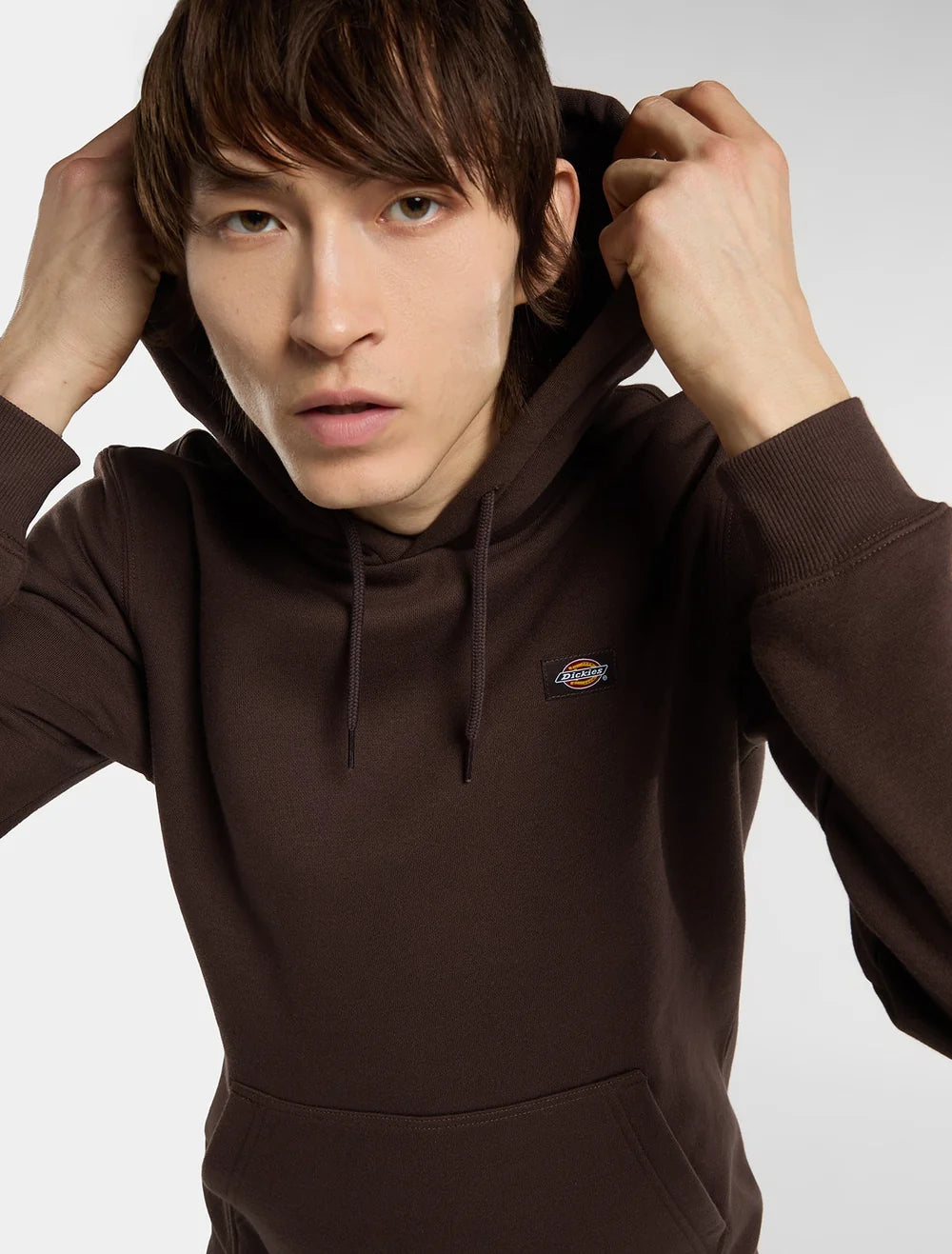 Camisola Dickies Oakport
