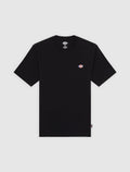 T-Shirt Dickies Mapleton