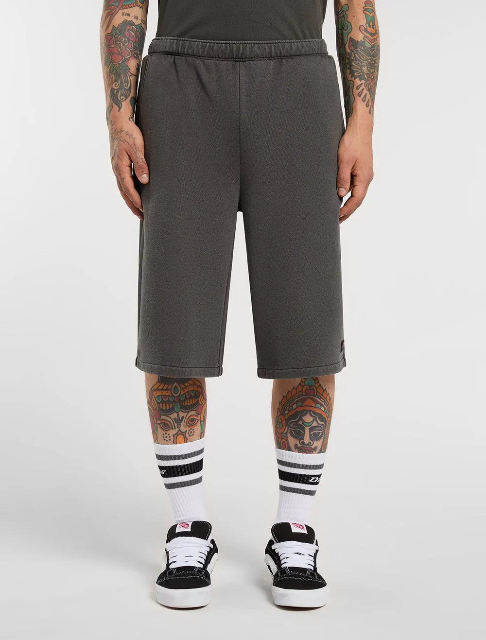 Calções Dickies Streetsboro 13