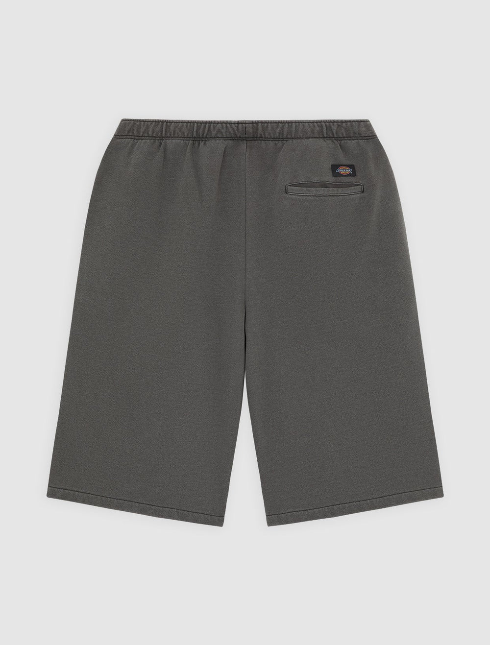 Calções Dickies Streetsboro 13