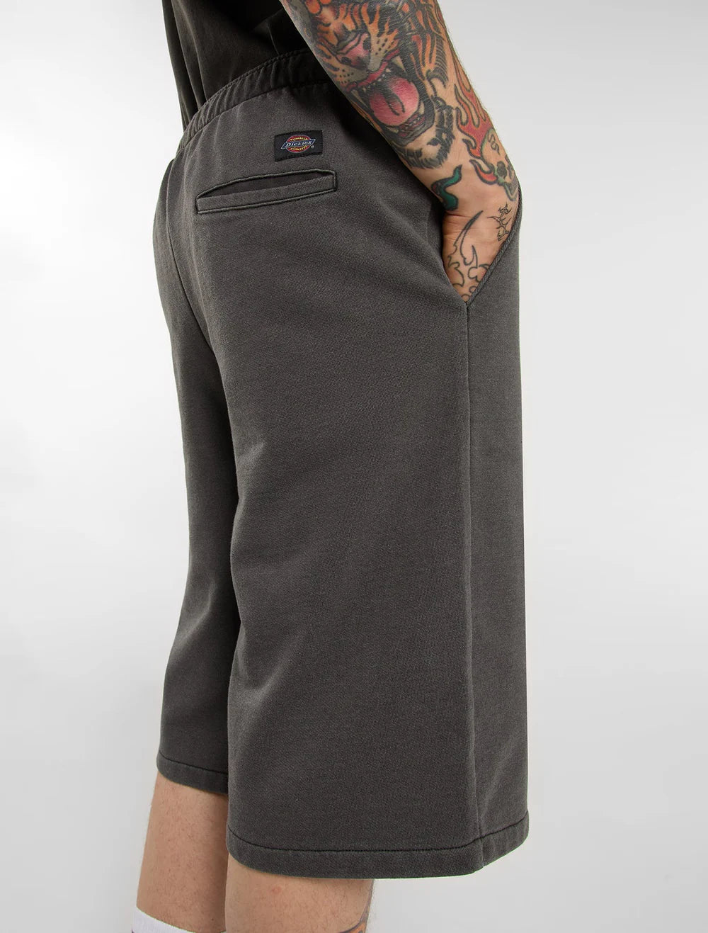 Calções Dickies Streetsboro 13