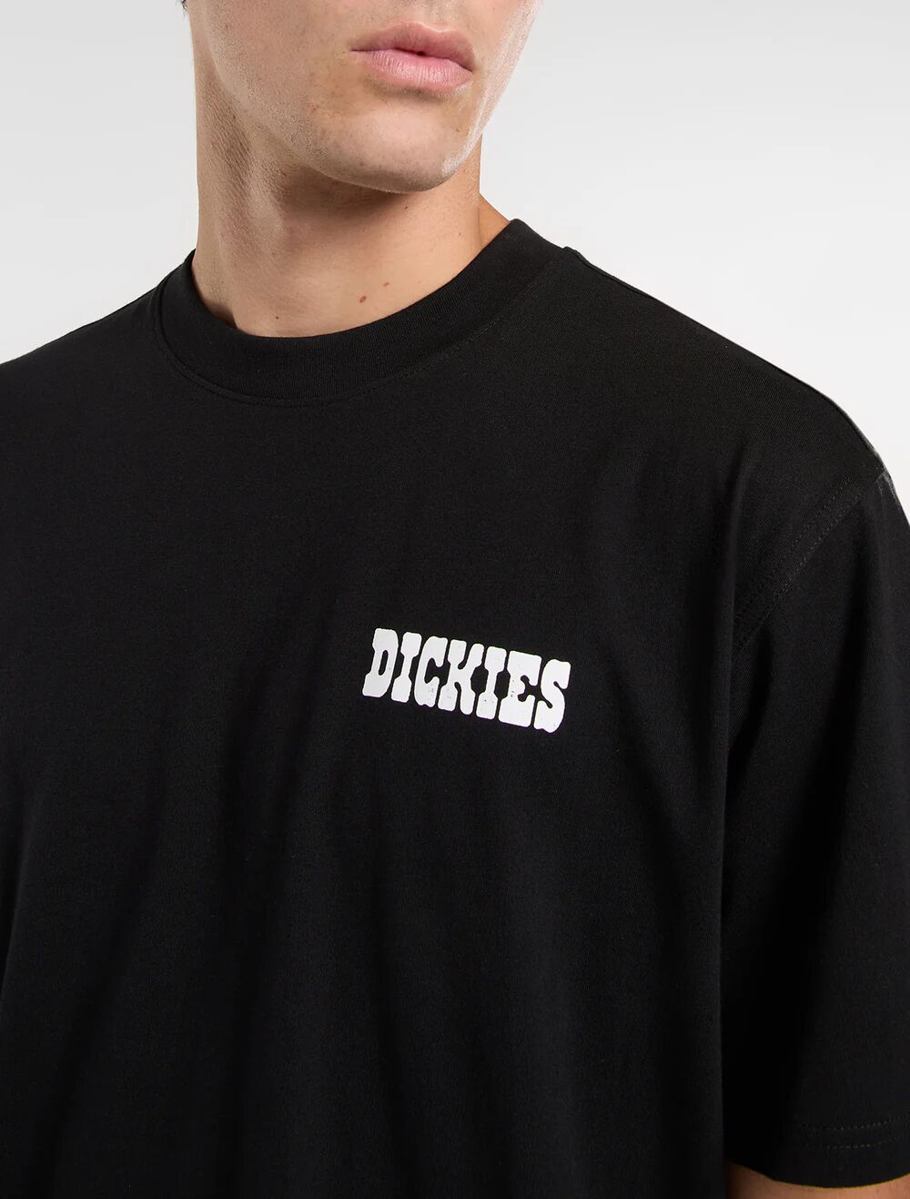 T-Shirt Dickies Plain City