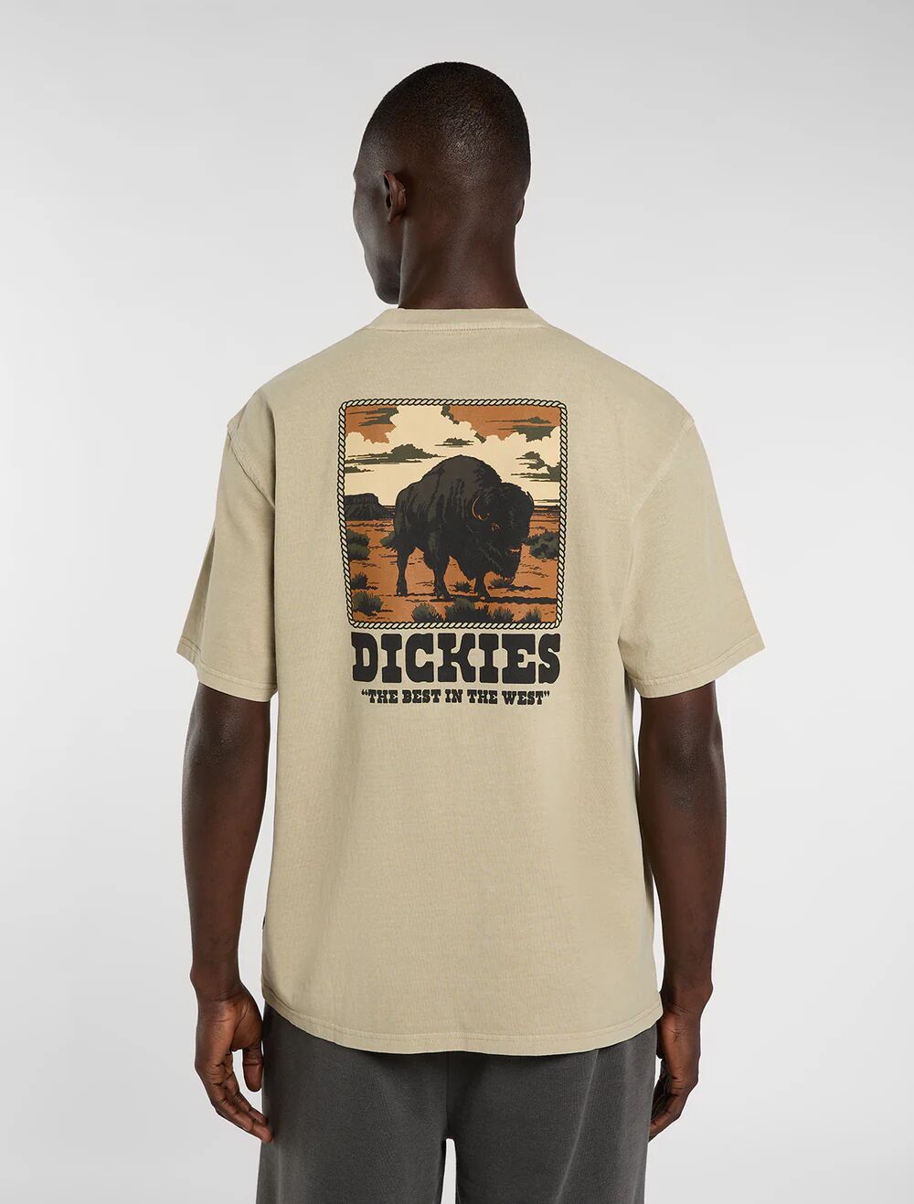 T-Shirt Dickies Darrtown