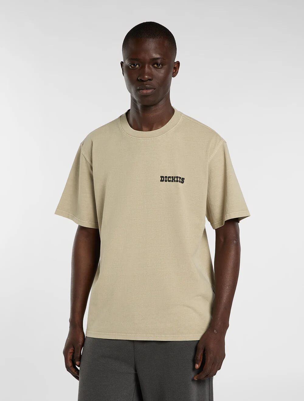 T-Shirt Dickies Darrtown