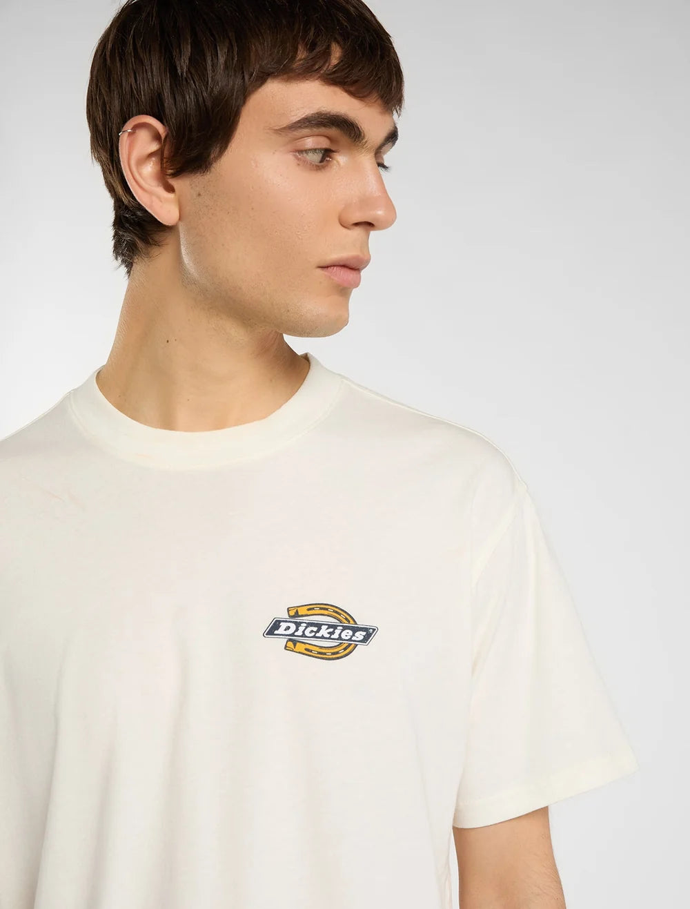 T-Shirt Dickies Paradise