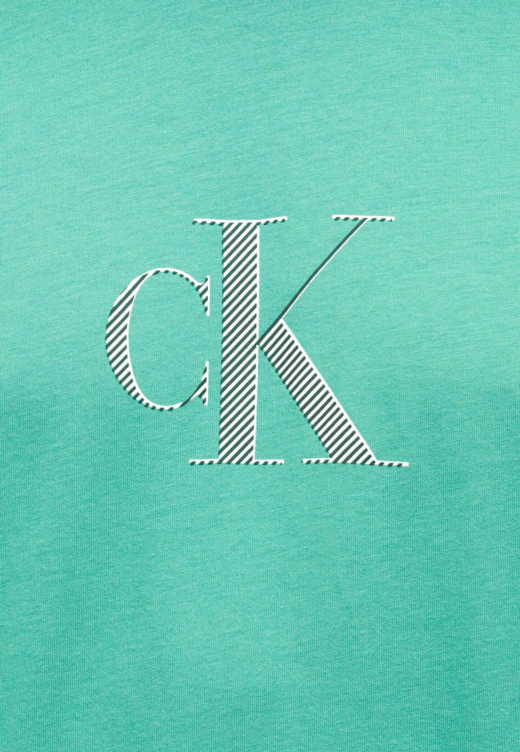 T-Shirt Calvin Klein Jeans Distress Mono