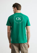 T-Shirt Calvin Klein Graphics