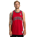 T-Shirt DC Shoes Hoops Jersey